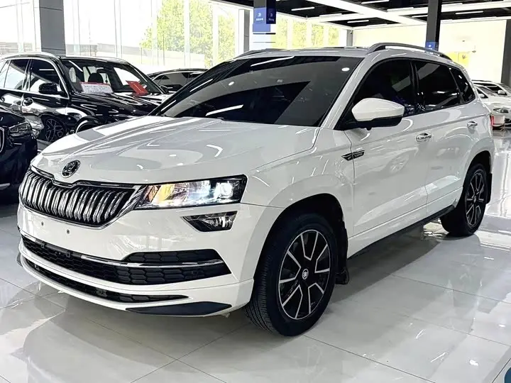 Skoda Karoq 2022, арт. CN-3699260 — фото 1