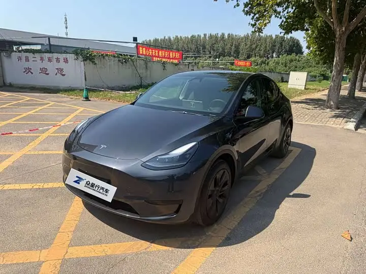 Tesla Model Y 2024, арт. CN-3700036 — фото 1