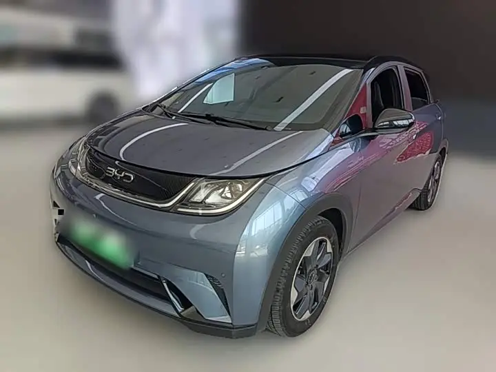 BYD Dolphin 2024, арт. CN-3700229 — фото 1