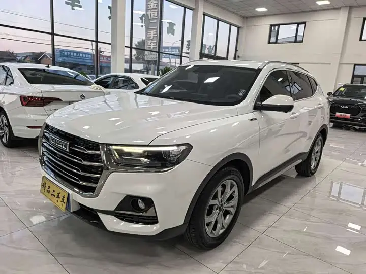 Haval H6 2021, арт. CN-3700302 — фото 1