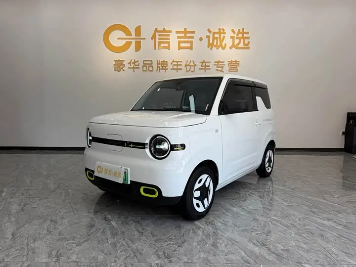 Geely Galaxy Panda Mini 2025, арт. CN-3700599 — фото 1