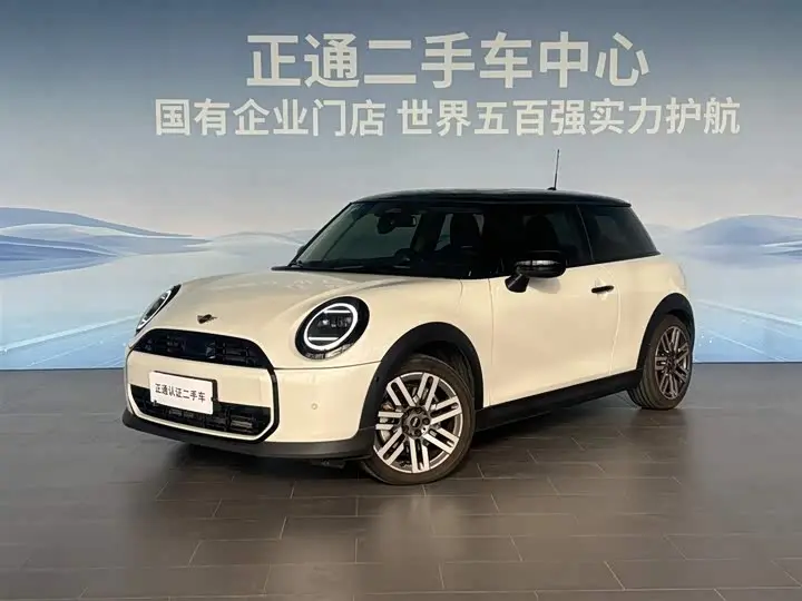 Mini Mini 2025, арт. CN-3700636 — фото 1