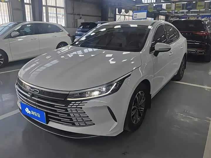 BYD Destroyer 05 2024, арт. CN-3700735 — фото 1