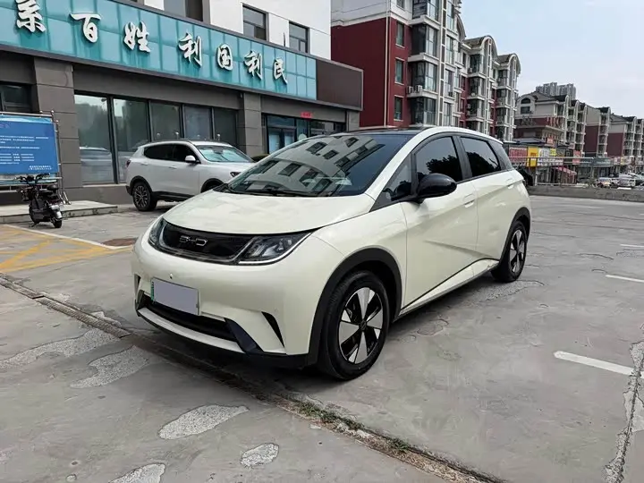 BYD Dolphin 2023, арт. CN-3700873 — фото 1