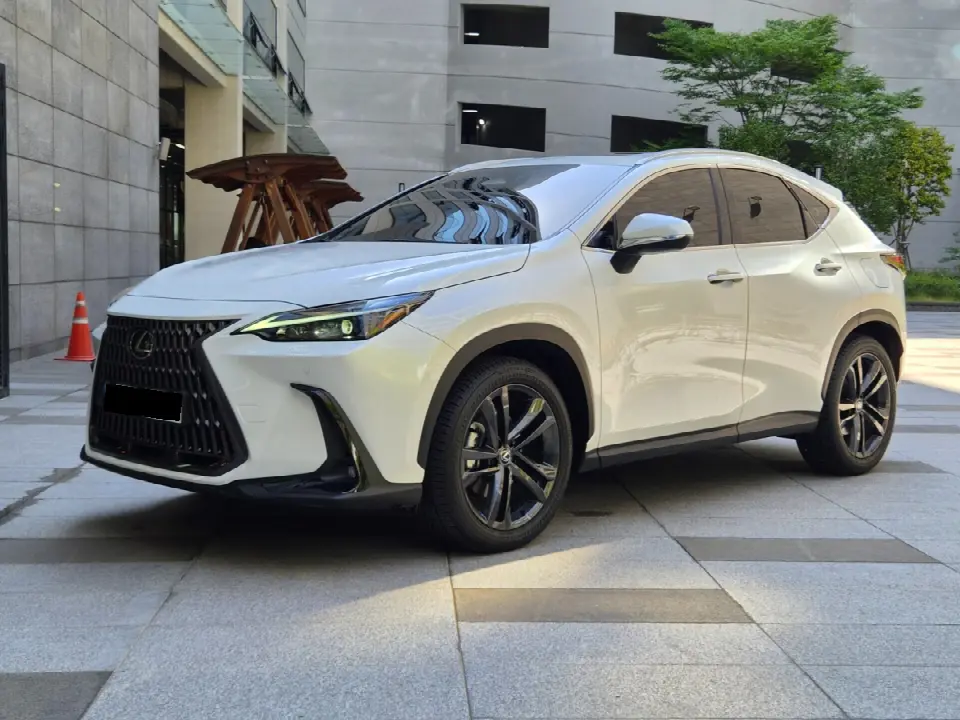 Lexus NX 2022, арт. KR-3701994 — фото 1
