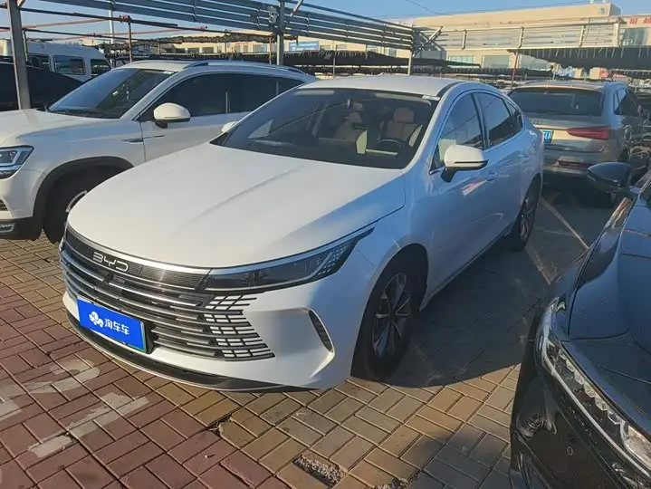 BYD Destroyer 05 2024, арт. CN-3705676 — фото 1