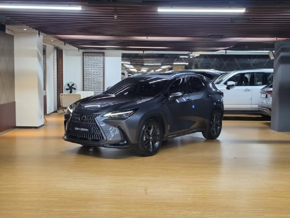 Lexus NX 2022, арт. KR-3706249 — фото 1