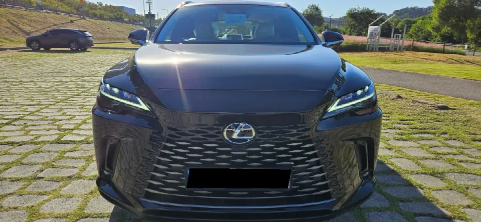 Lexus RX 2023, арт. KR-3706512 — фото 1