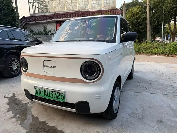 Geely Galaxy Panda Mini 2024, арт. CN-3709002 — фото 1