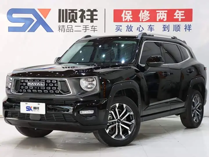 Haval H-Dog 2023, арт. CN-3709331 — фото 1