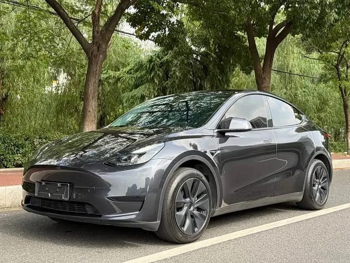 Tesla Model Y 2024, арт. CN-3709549 — фото 1