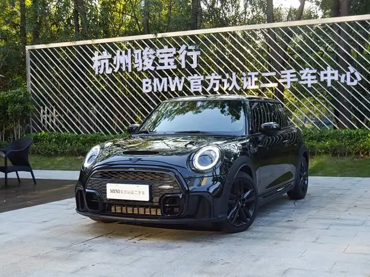 Mini Mini 2022, арт. CN-3709614 — фото 1