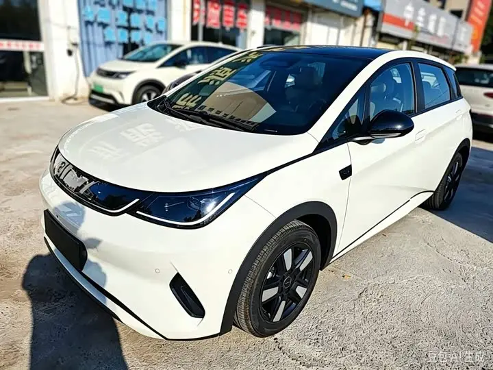 BYD Dolphin 2025, арт. CN-3709670 — фото 1