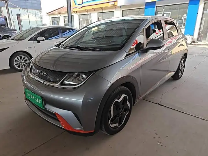 BYD Dolphin 2021, арт. CN-3710039 — фото 1