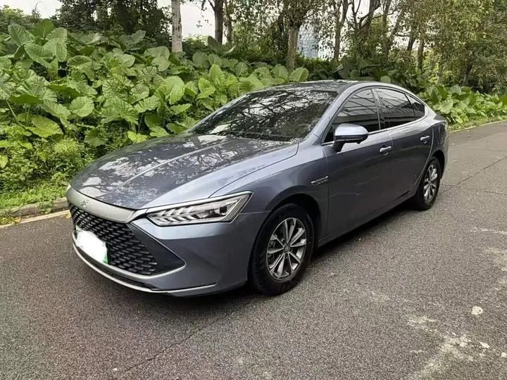BYD Qin Plus 2024, арт. CN-3710343 — фото 1