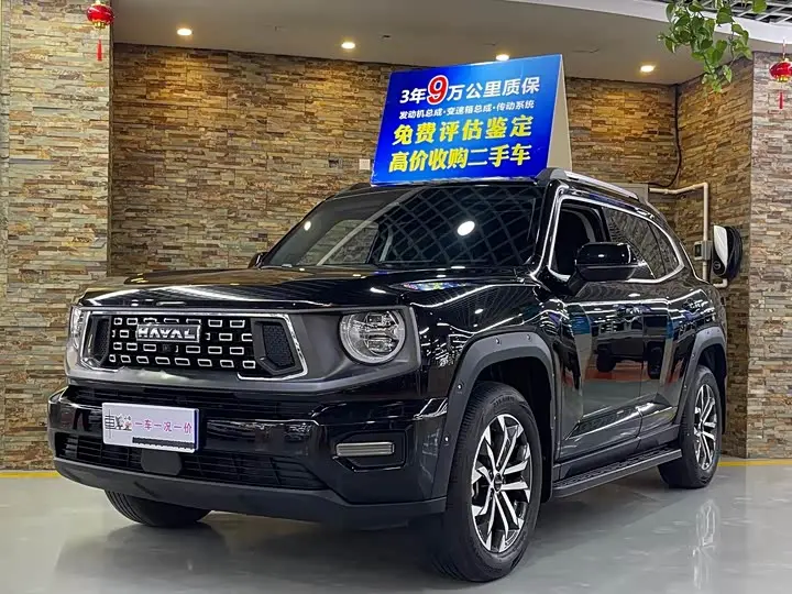 Haval H-Dog 2023, арт. CN-3710918 — фото 1