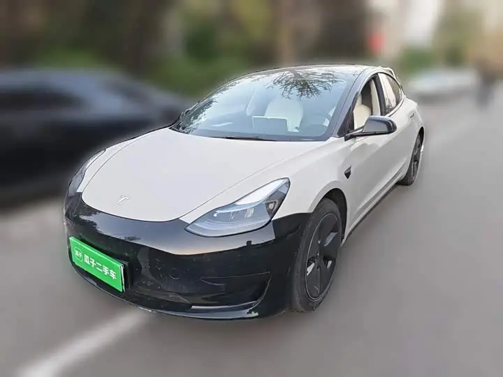 Tesla Model 3 2022, арт. CN-3711049 — фото 1