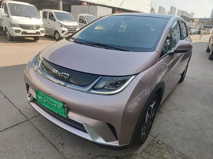 BYD Dolphin 2021, арт. CN-3711205 — фото 1