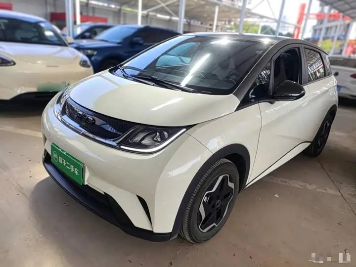 BYD Dolphin 2025, арт. CN-3712130 — фото 1