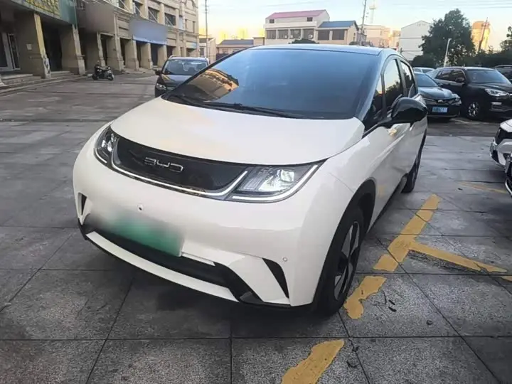 BYD Dolphin 2023, арт. CN-3712186 — фото 1