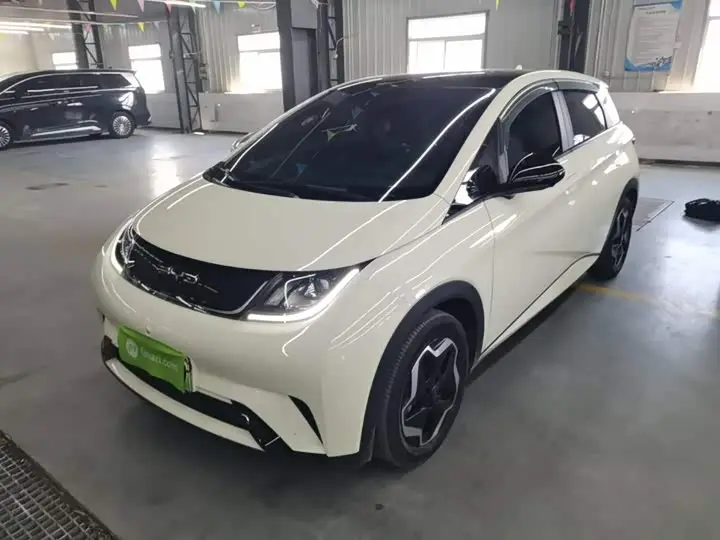 BYD Dolphin 2021, арт. CN-3712366 — фото 1