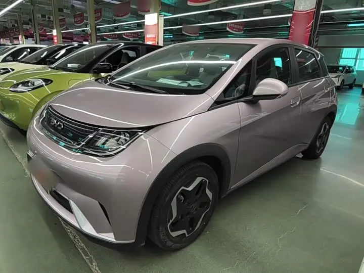 BYD Dolphin 2021, арт. CN-3712854 — фото 1