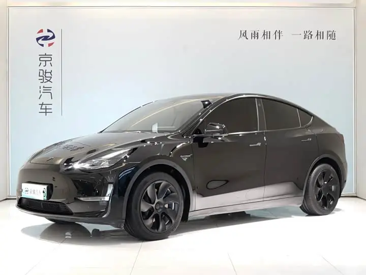 Tesla Model Y 2022, арт. CN-3712921 — фото 1