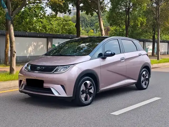 BYD Dolphin 2023, арт. CN-3713439 — фото 1
