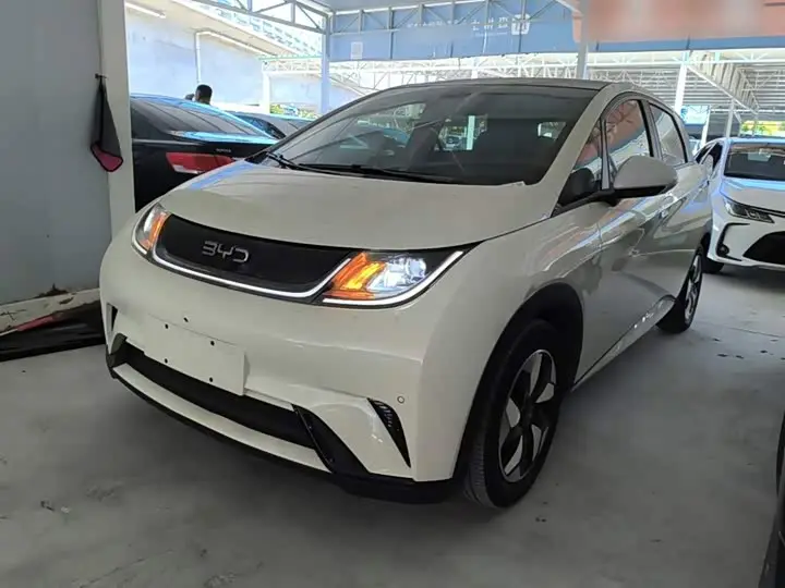 BYD Dolphin 2024, арт. CN-3713693 — фото 1