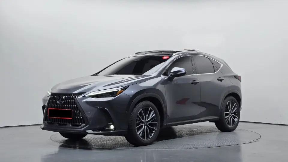 Lexus NX 2022, арт. KR-3715621 — фото 1