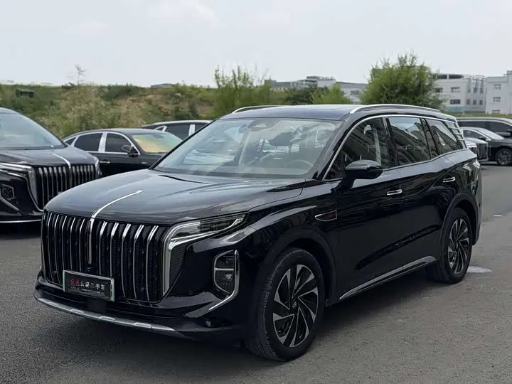 Hongqi HS7 Hybrid 2024, арт. CN-3723421 — фото 1