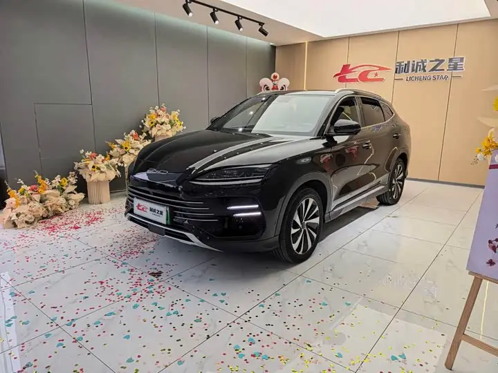 BYD Song Plus Hybrid/EV 2023, арт. CN-3723981 — фото 1