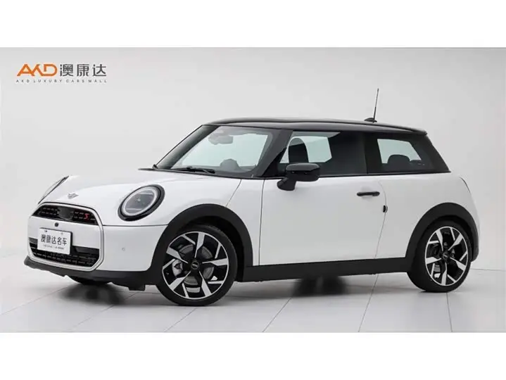 Mini Mini 2025, арт. CN-3724556 — фото 1