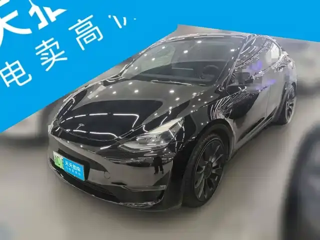 Tesla Model Y 2022, арт. CN-3800504 — фото 1