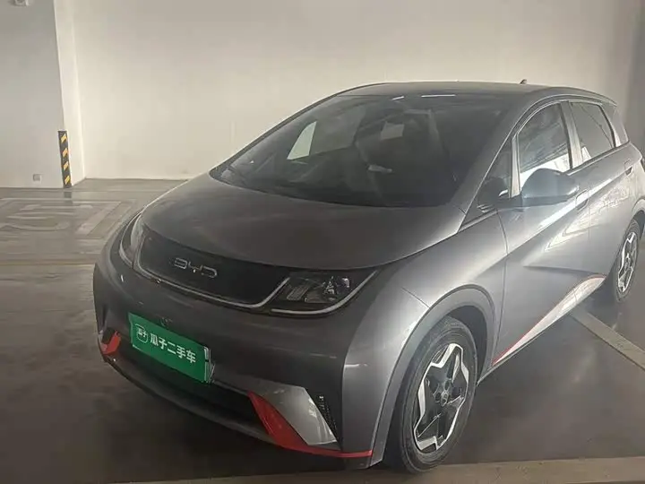 BYD Dolphin 2021, арт. CN-3811987 — фото 1