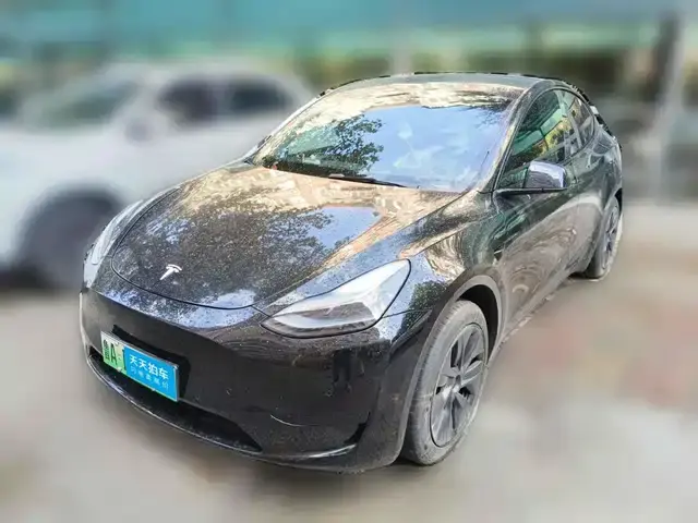 Tesla Model Y 2023, арт. CN-3849263 — фото 1